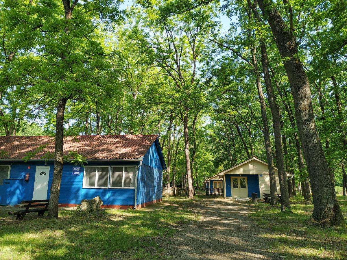 Dorcas Center&Camping Hotel Дебрецен Екстериор снимка